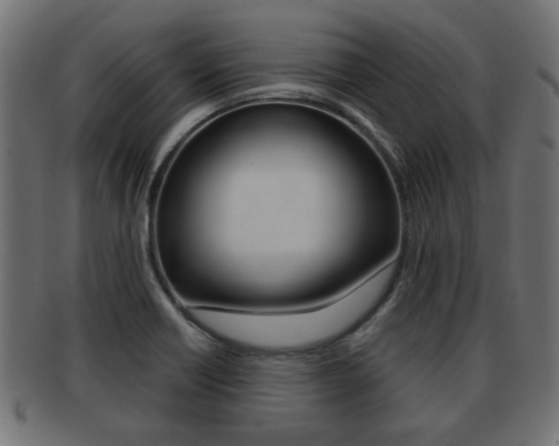 X0000091971418200709061123