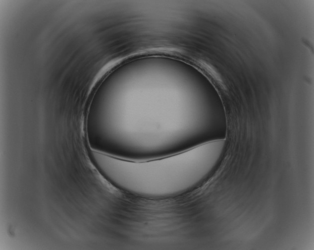 X0000091971420200709061123
