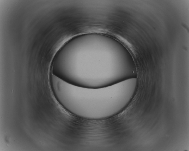 X0000091971423200709061123