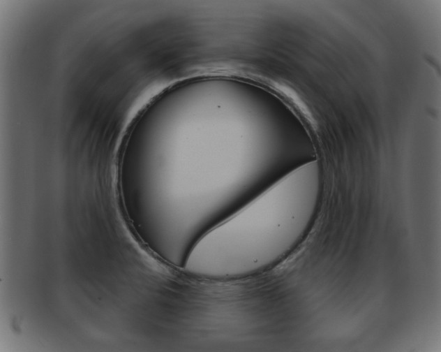 X0000091971424200709061123