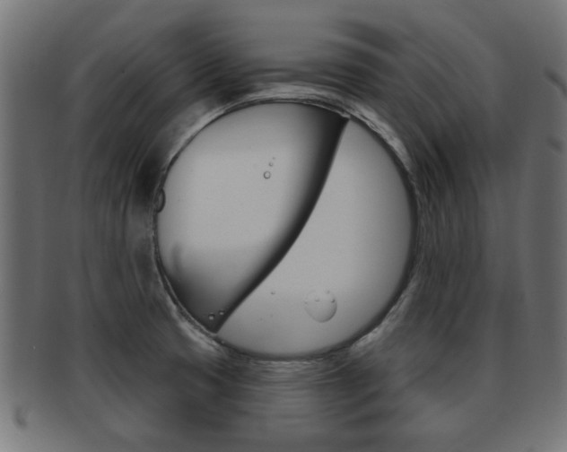 X0000091971425200709061123