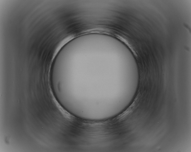 X0000091971426200709061123