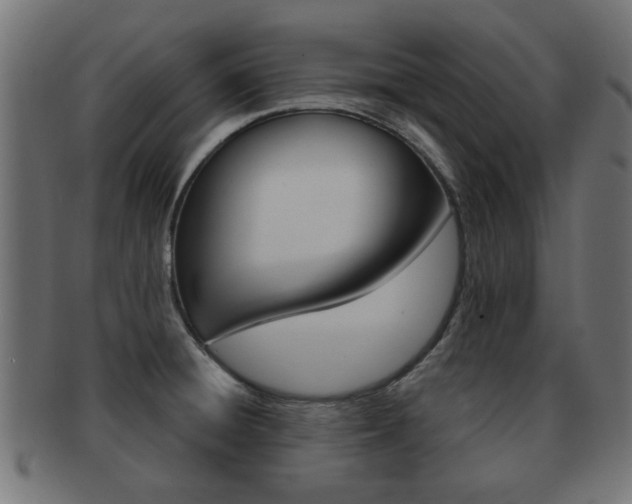 X0000091971428200709061123