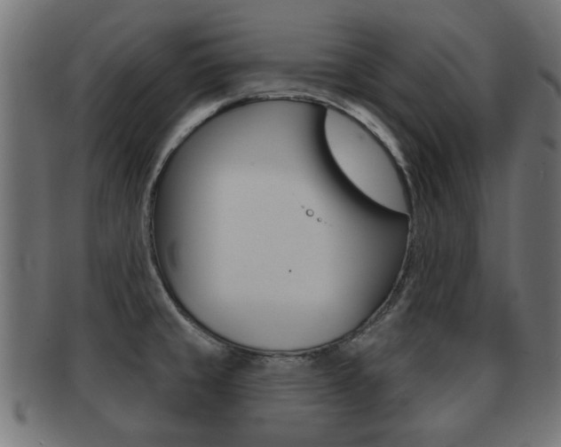 X0000091971429200709061123