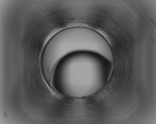 X0000091971430200709061123