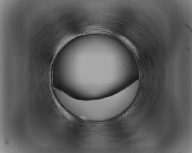X0000091971431200709061123