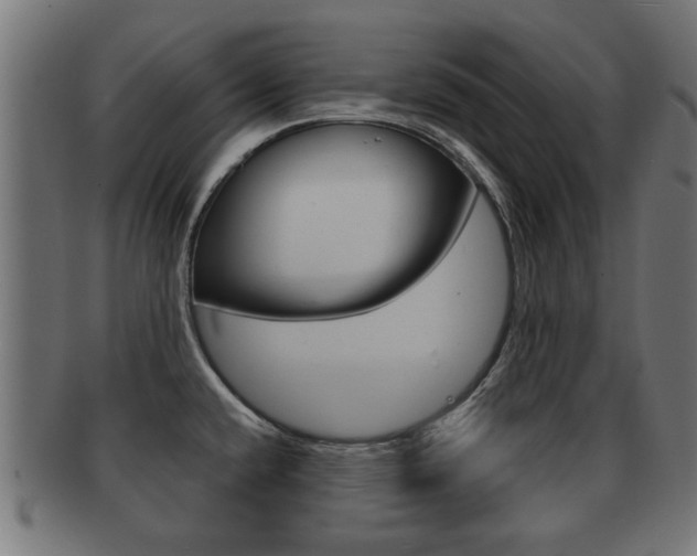 X0000091971432200709061123