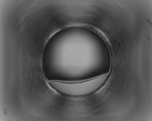 X0000091971433200709061123