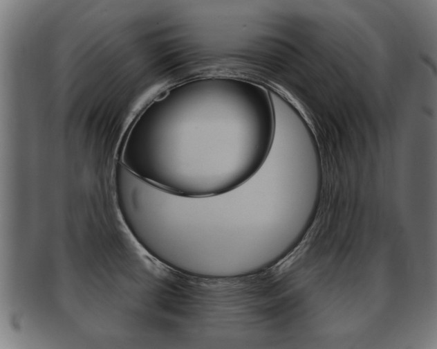 X0000091971434200709061123