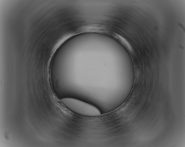 X0000091971435200709061123