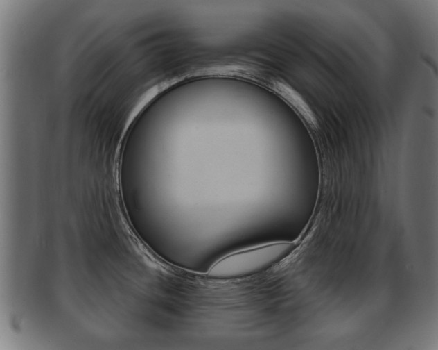 X0000091971436200709061123
