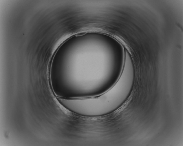 X0000091971438200709061123