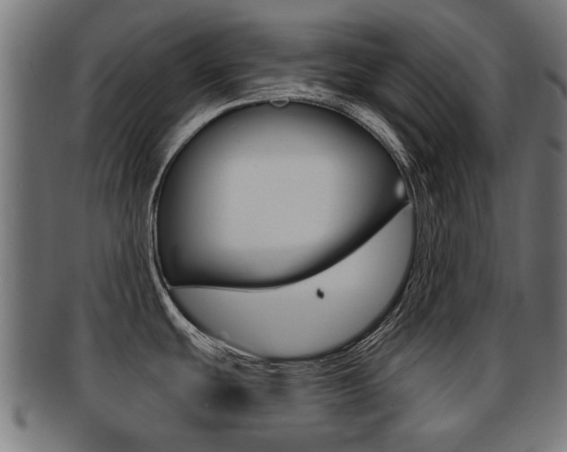 X0000091971439200709061123