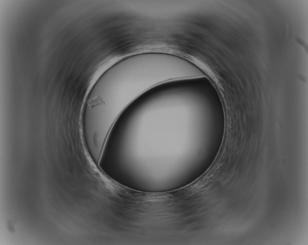 X0000091971440200709061123