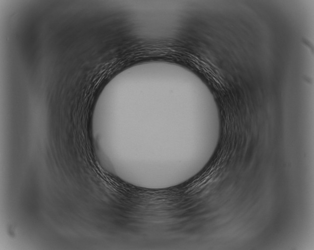 X0000091971441200709061122