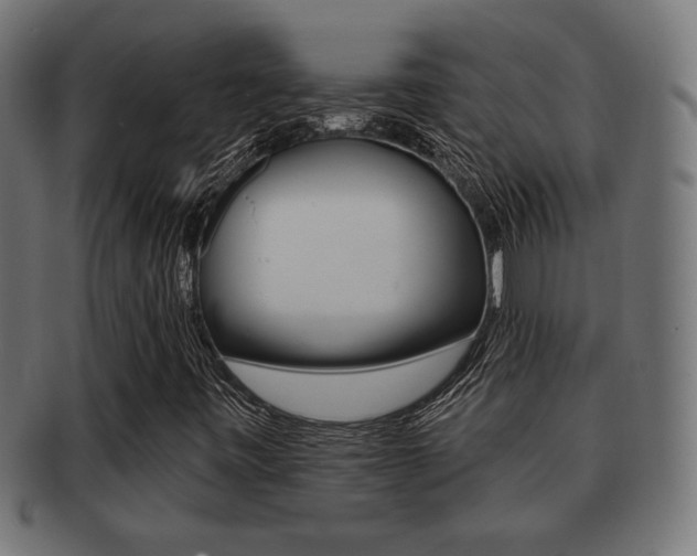 X0000091971443200709061122
