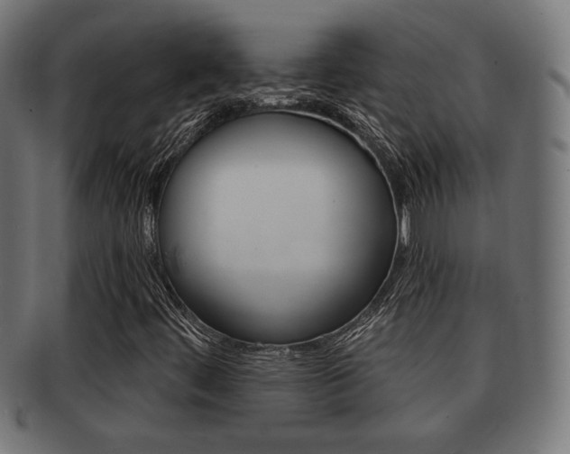 X0000091971444200709061122