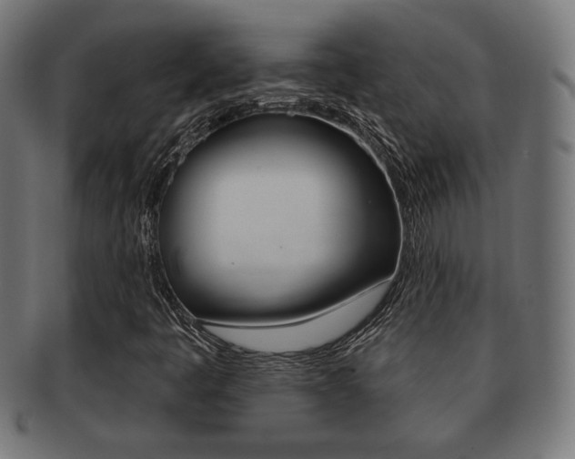 X0000091971445200709061122