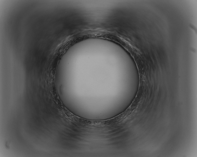 X0000091971447200709061122