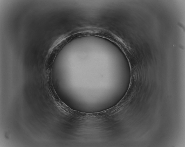 X0000091971448200709061122