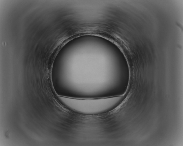 X0000091971449200709061122