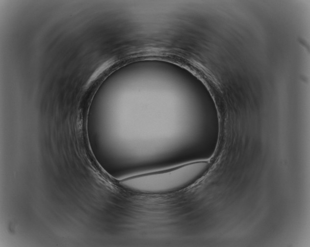 X0000091971450200709061122