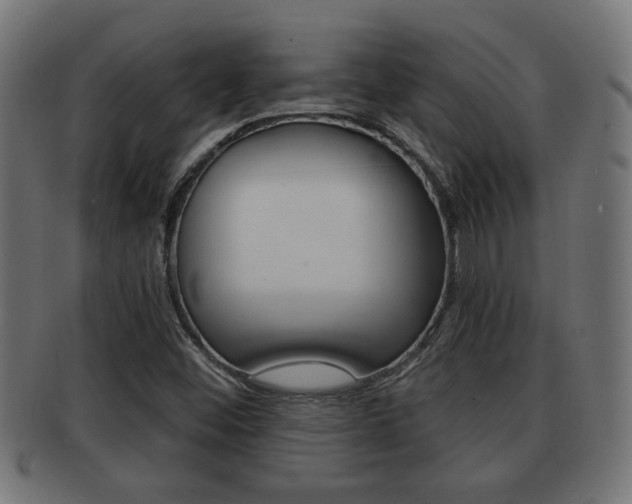 X0000091971452200709061122