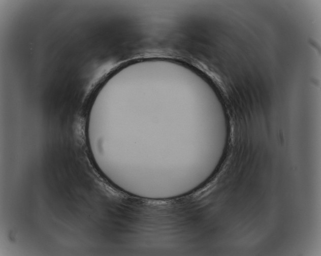 X0000091971454200709061122
