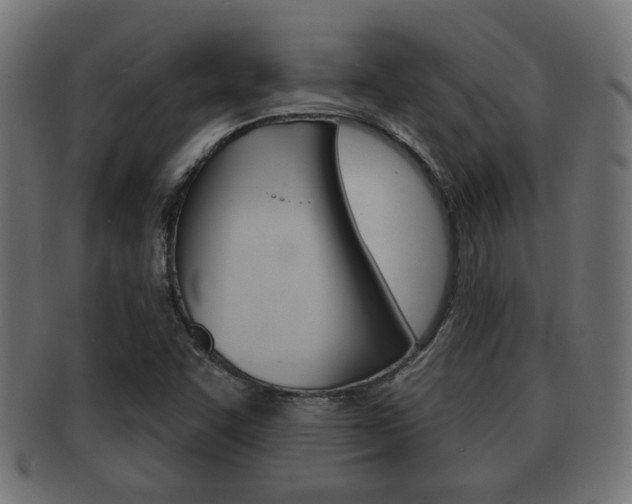 X0000091971455200709061122
