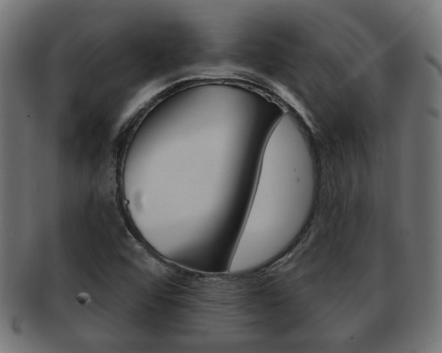 X0000091971456200709061122