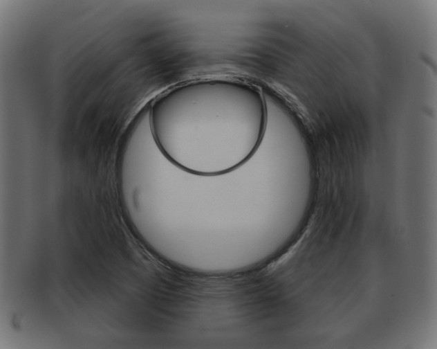 X0000091971457200709061122