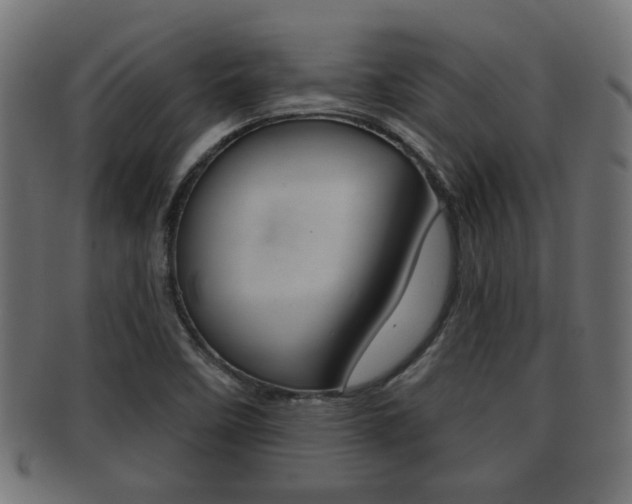 X0000091971458200709061122