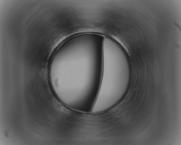 X0000091971460200709061122