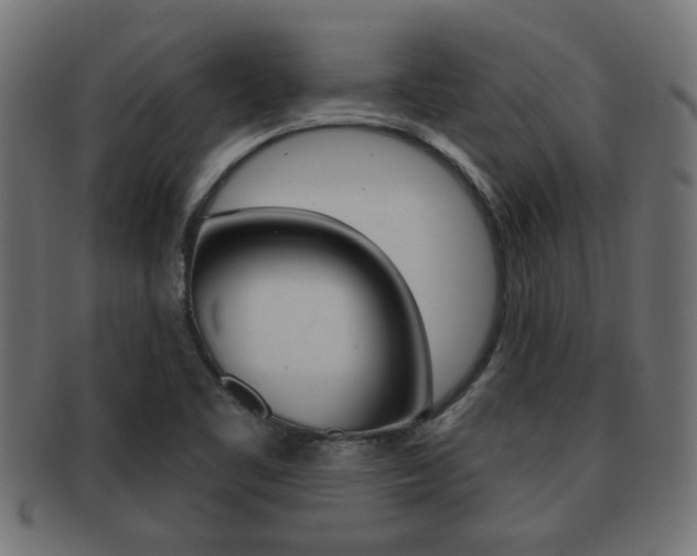 X0000091971461200709061122