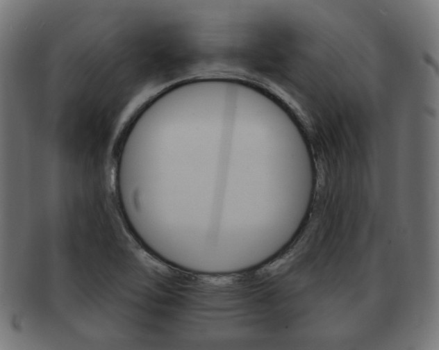 X0000091971462200709061122