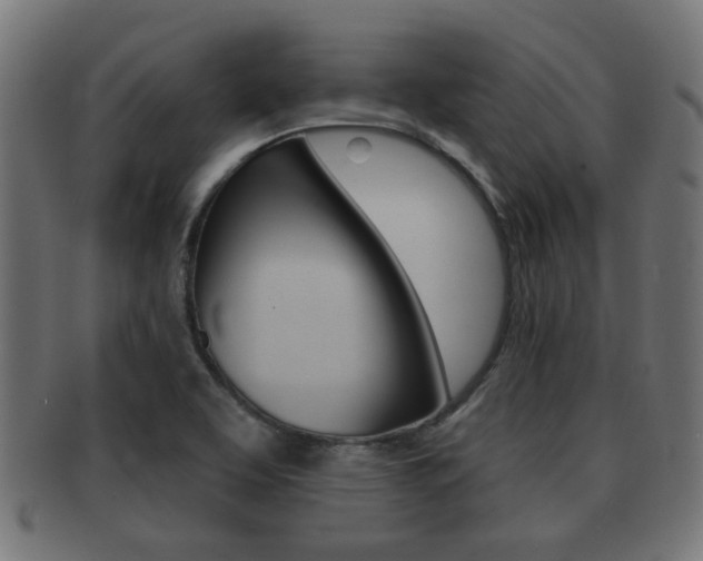 X0000091971463200709061122