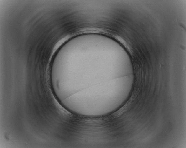 X0000091971466200709061122