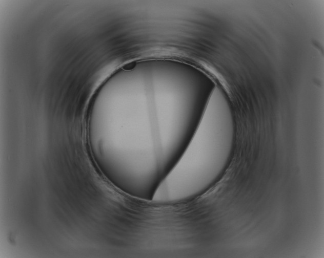 X0000091971467200709061122