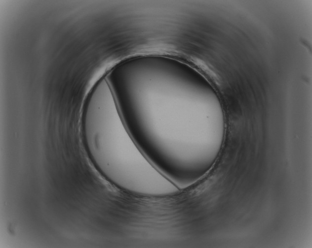 X0000091971469200709061122