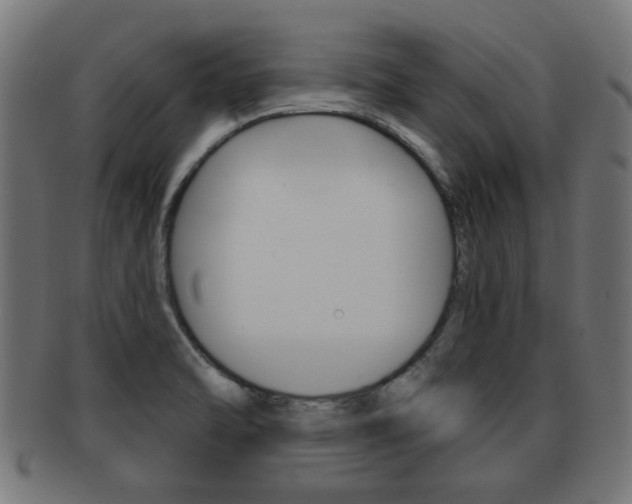 X0000091971470200709061122