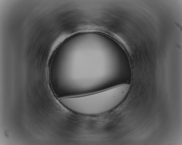 X0000091971472200709061122