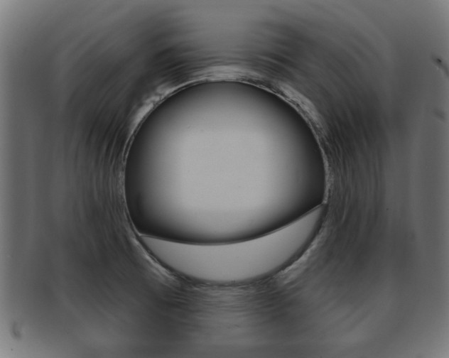 X0000091971473200709061122