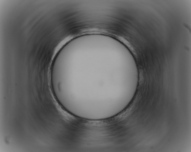 X0000091971474200709061122