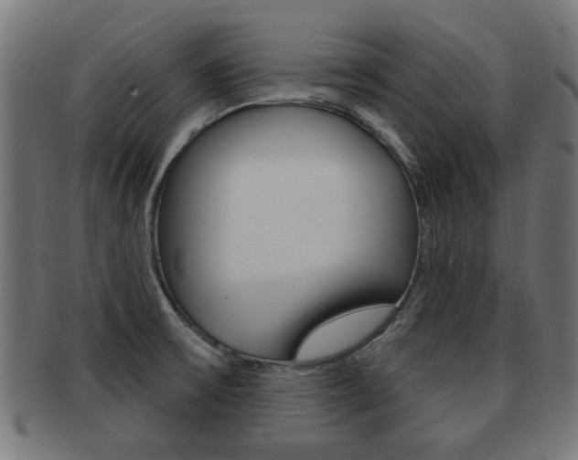 X0000091971475200709061122