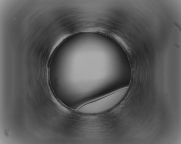X0000091971476200709061122
