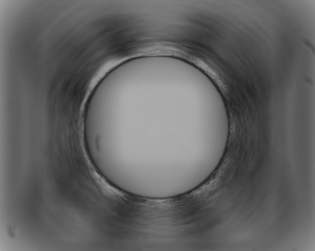 X0000091971478200709061122