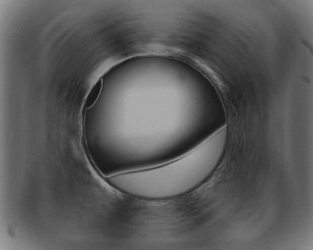 X0000091971479200709061122