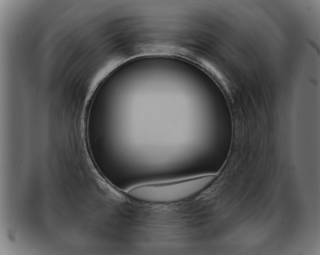 X0000091971480200709061122