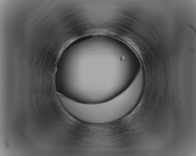 X0000091971481200709061122