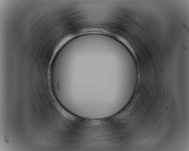 X0000091971482200709061122